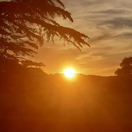 Veldzicht Klarenbeek