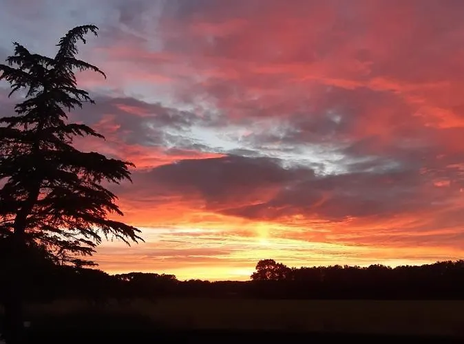 펜션 Veldzicht Klarenbeek