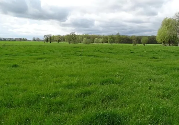 Veldzicht * Klarenbeek